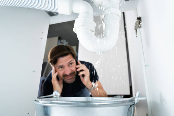 Best Septic Systems  in Vassar, MI