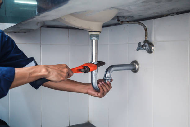 Best Residential Plumbing Services  in Vassar, MI