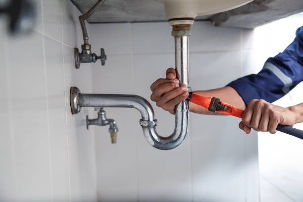Best Leak Detection Services  in Vassar, MI