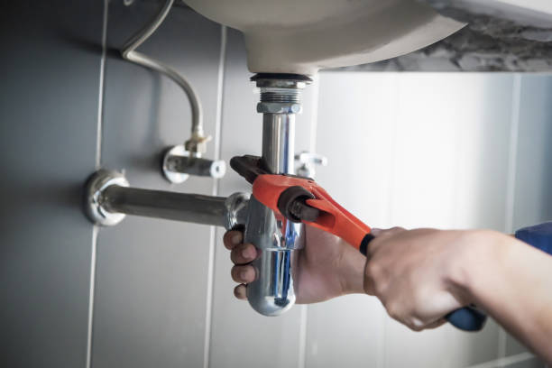 Best Plumbing Services Near Me  in Vassar, MI