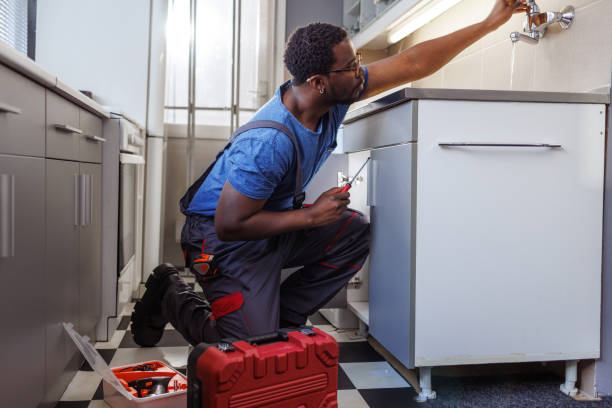 Best Plumbing Services Near Me  in Vassar, MI